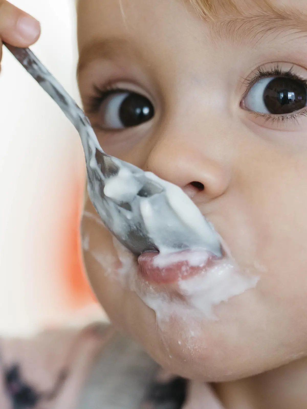 Portrait of baby girl eating yogurt, close-up model released Symbolfoto PUBLICATIONxINxGERxSUIxAUTxHUNxONLY JRFF02182  