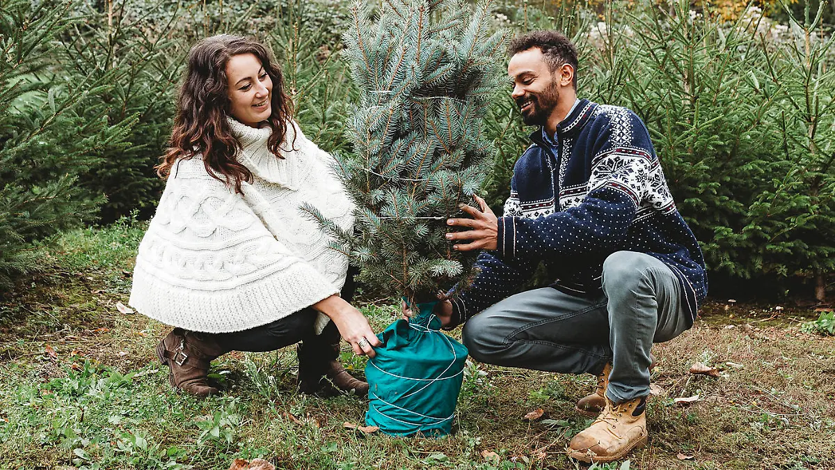 Ein Weihnachtsbaum mit Ballen