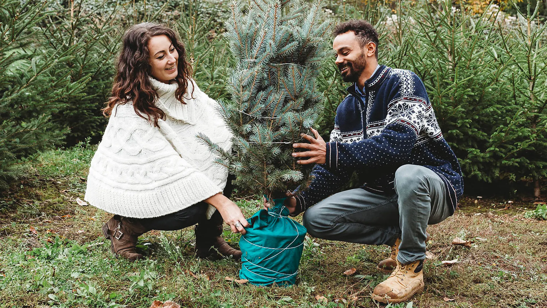 Ein Weihnachtsbaum mit Ballen