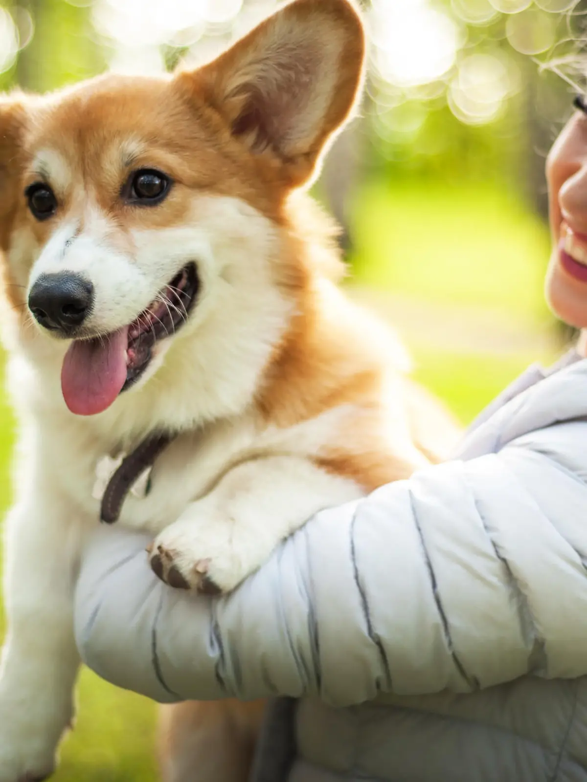 Frau mit Corgi