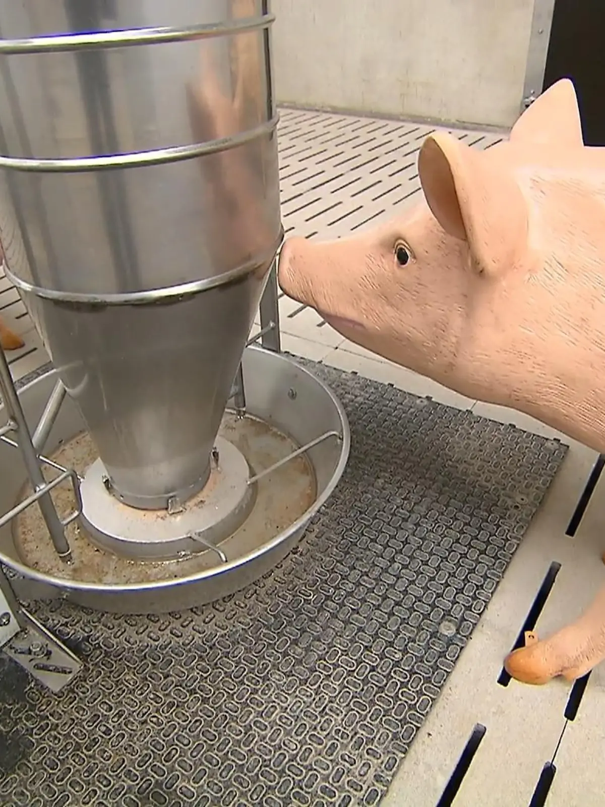 Bild zu: "Schweinestall der Zukunft "