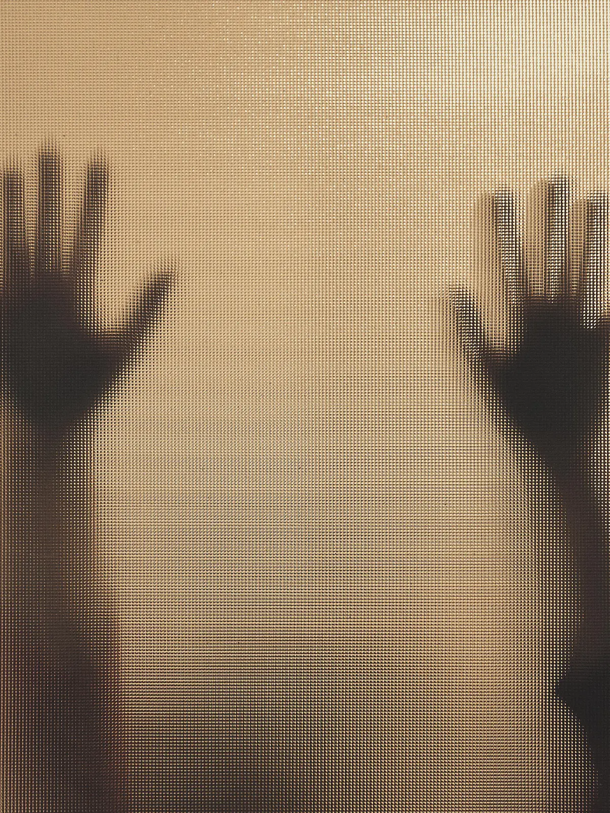 Back lit image of the silhouette of a woman with her hands pressed against a glass window. The silhouette is distorted, and the arms elongated, giving an alien-like quality. The image is sinister and foreboding, with an element of horror. It is as if the 'woman' is trying to escape from behind the glass.