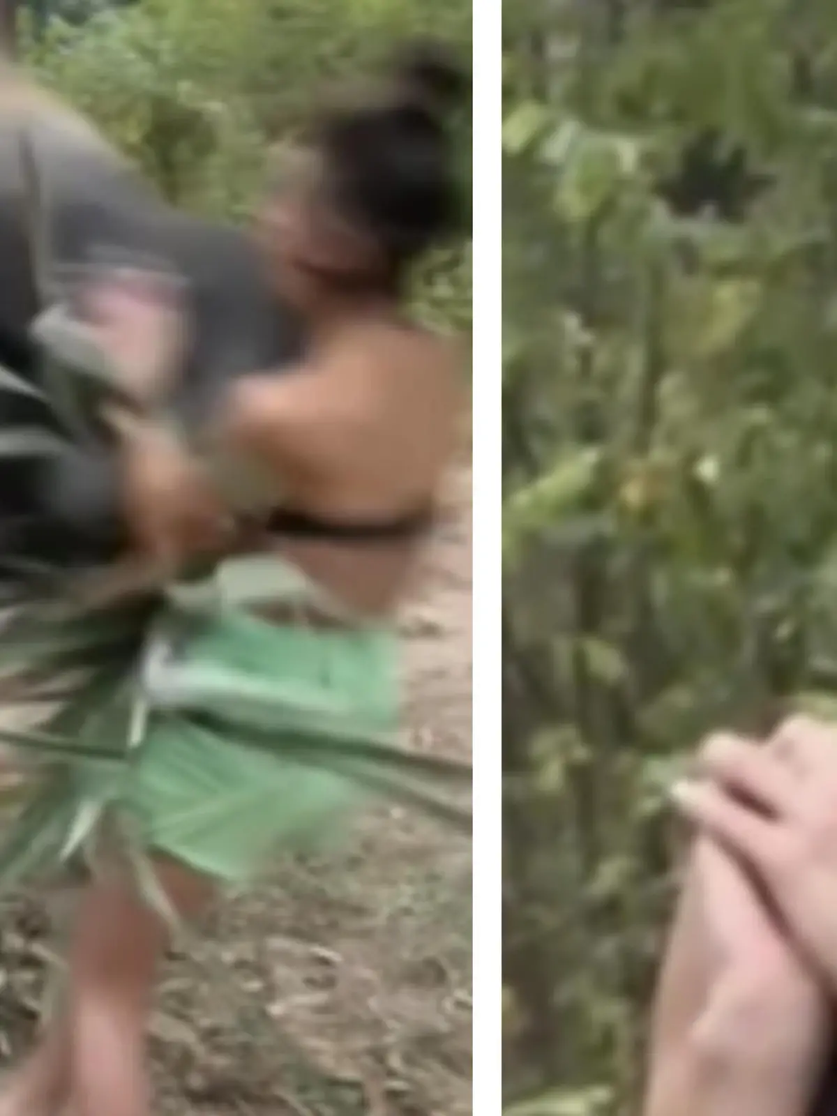 Im Thailand-Urlaub freut sich eine Frau über die Elefanten. Als sie eins der Tiere streicheln will,  wird es richtig sauer. Der Elefant haut die Touristin einfach um!