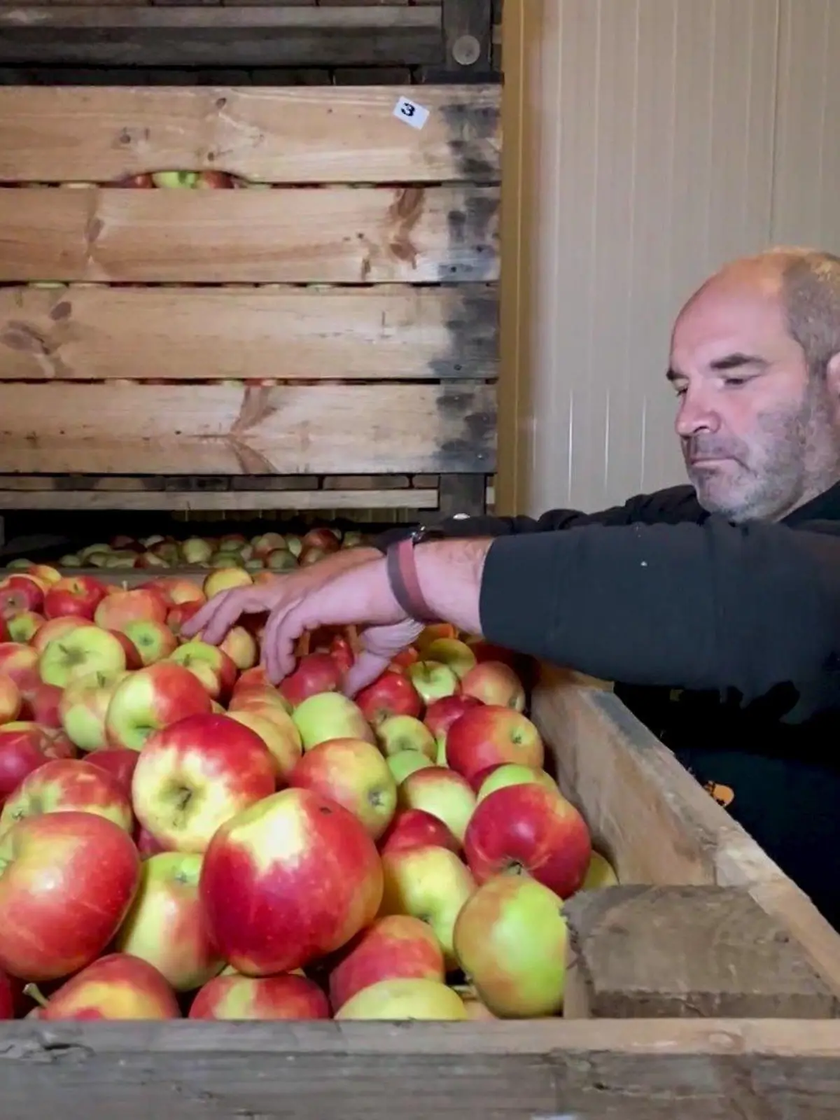 Obstbauer Michael Rönn