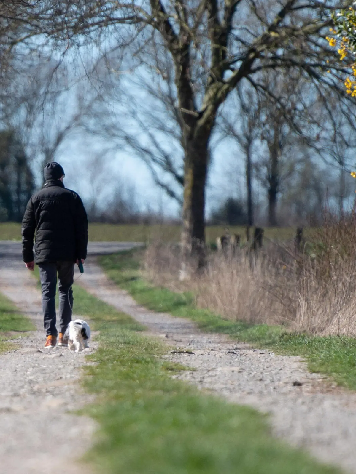  Bünde, Deutschland 22.03.2020: Feature Gesellschaft Spaziergänger gehen mit ihrem Hund Gassi, spazieren. , Lippinghausen Deutschland *** Bünde, Germany 22 03 2020 Feature Company Strollers walk their dog, go for a walk, Lippinghausen Germany