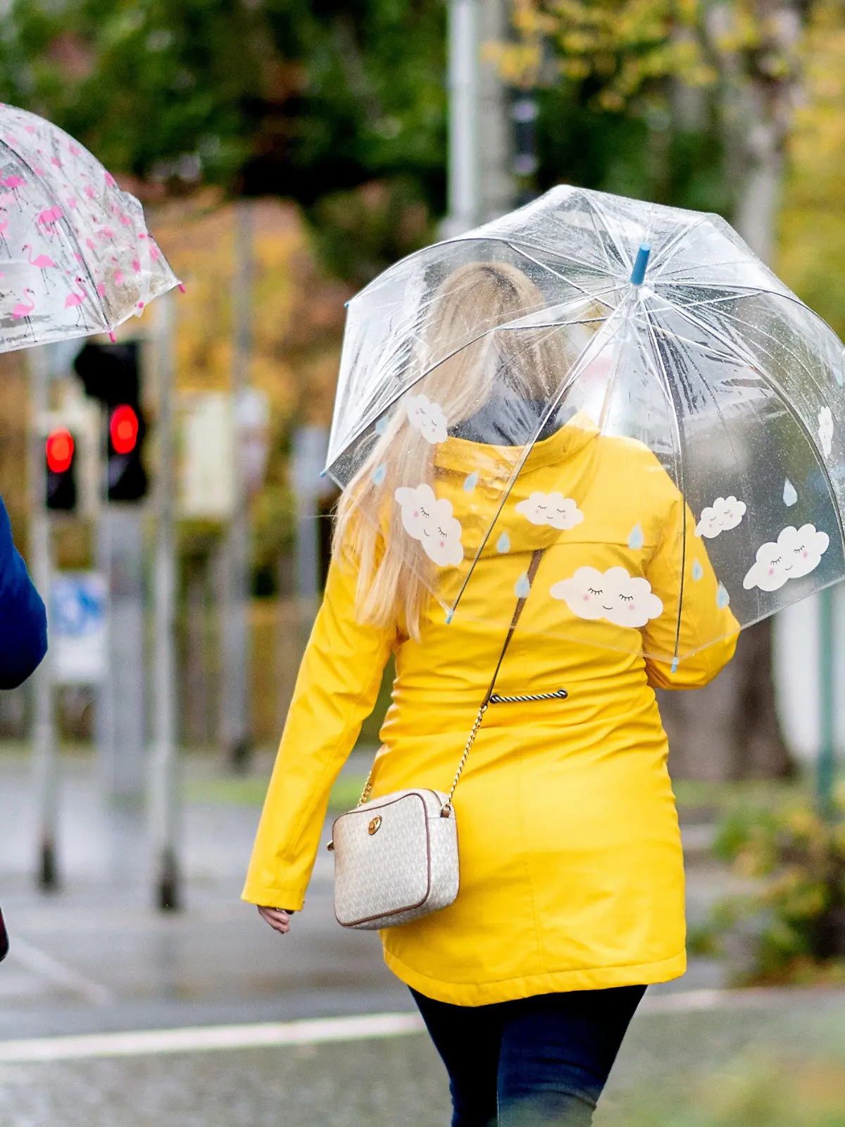 06.11.2019, Niedersachsen, Braunschweig: Zwei Passanten gehen mit Regenschirmen durch den Museumspark im Zentrum der Stadt. Foto: Hauke-Christian Dittrich/dpa +++ dpa-Bildfunk +++
