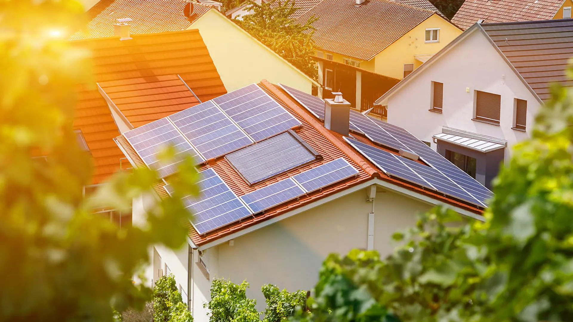 Kollektoren verwandeln Sonnenenergie in sauberen Strom
