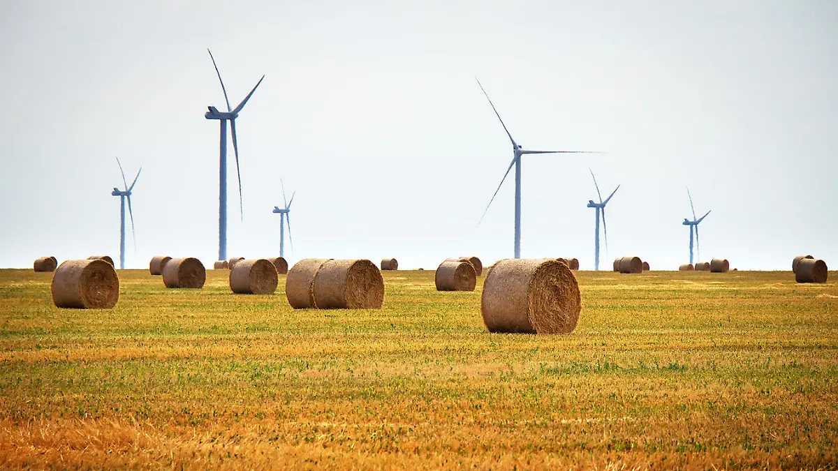 Saubere und erneuerbare Energie durch Windkraftanlagen