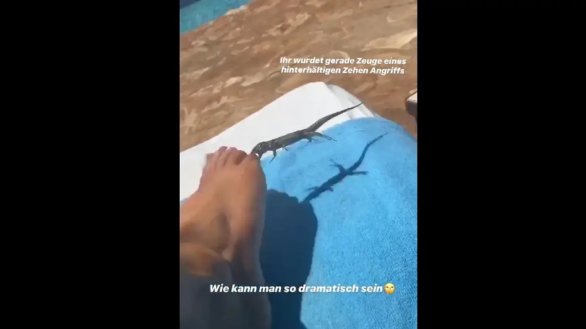 Shirin David von Eidechse gebissen