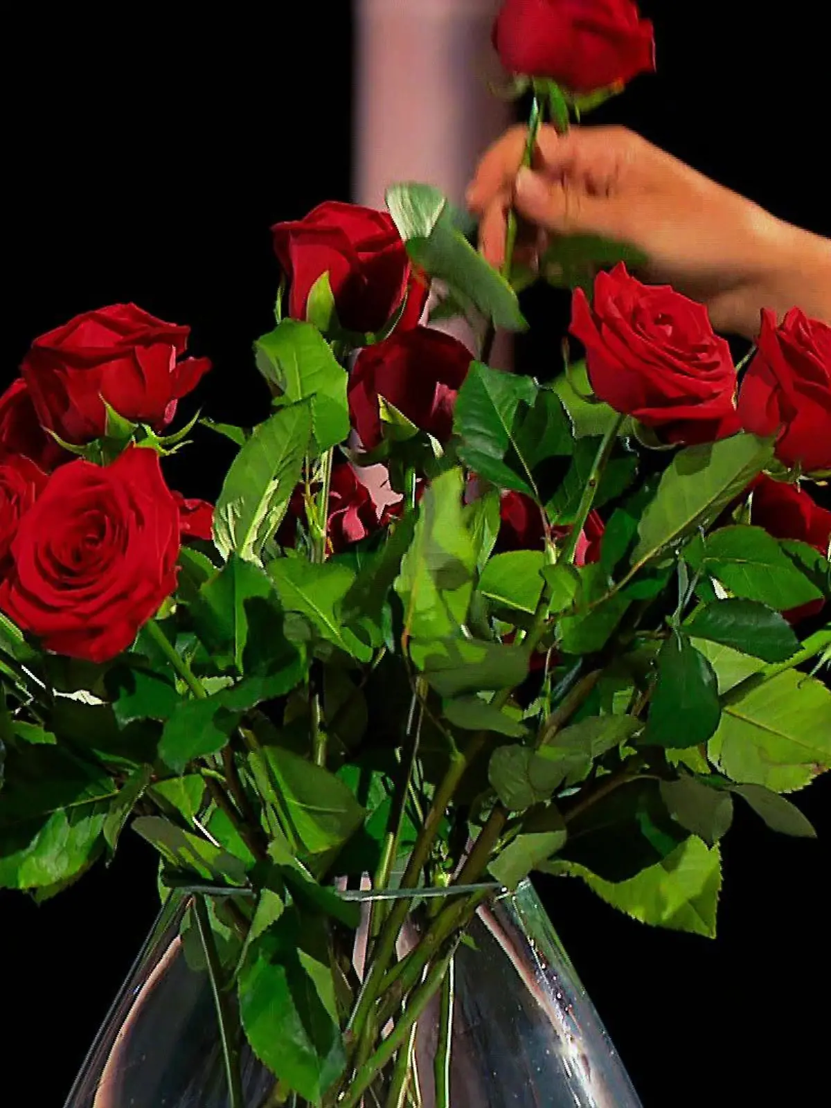 2021 verteilt eine neue Bachelorette bei RTL Rosen.