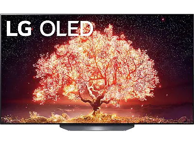 LG OLED65B19LA am Singles Day