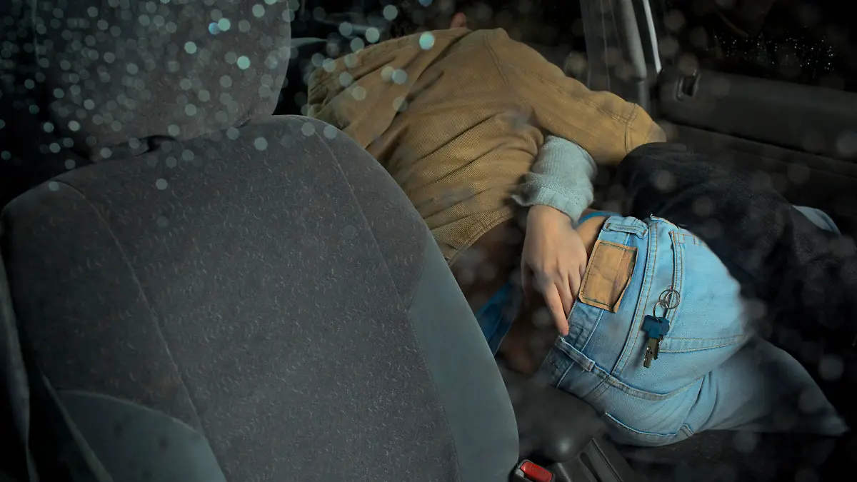 Paar hat Sex im Auto