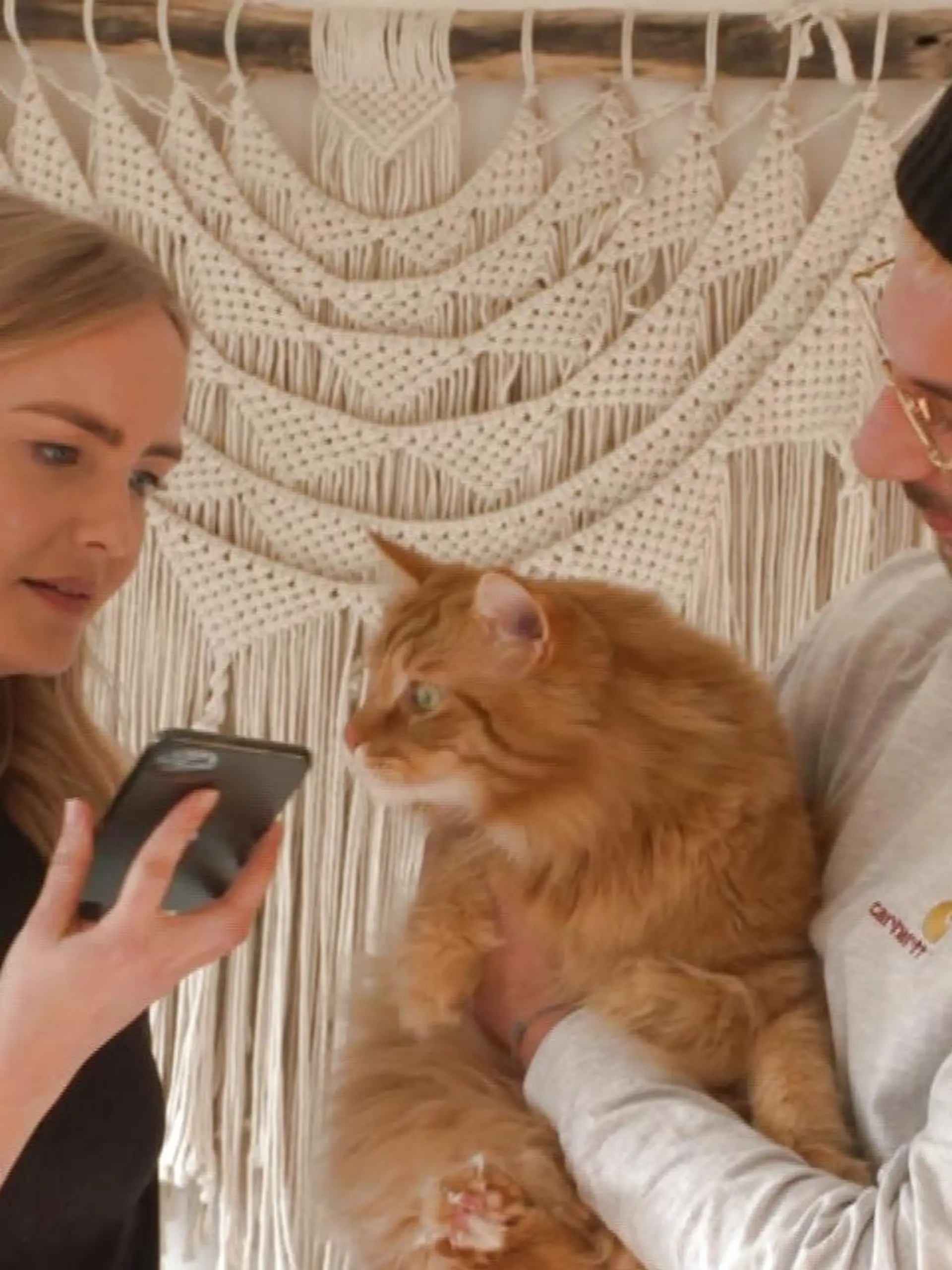 App übersetzt Katzensprache