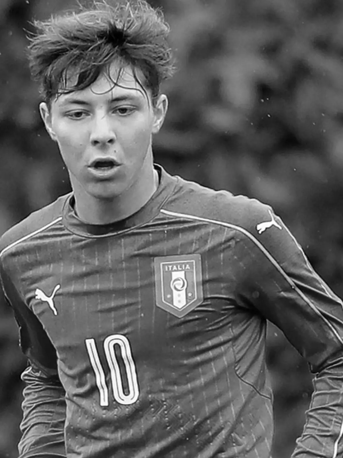 Daniel Guerini