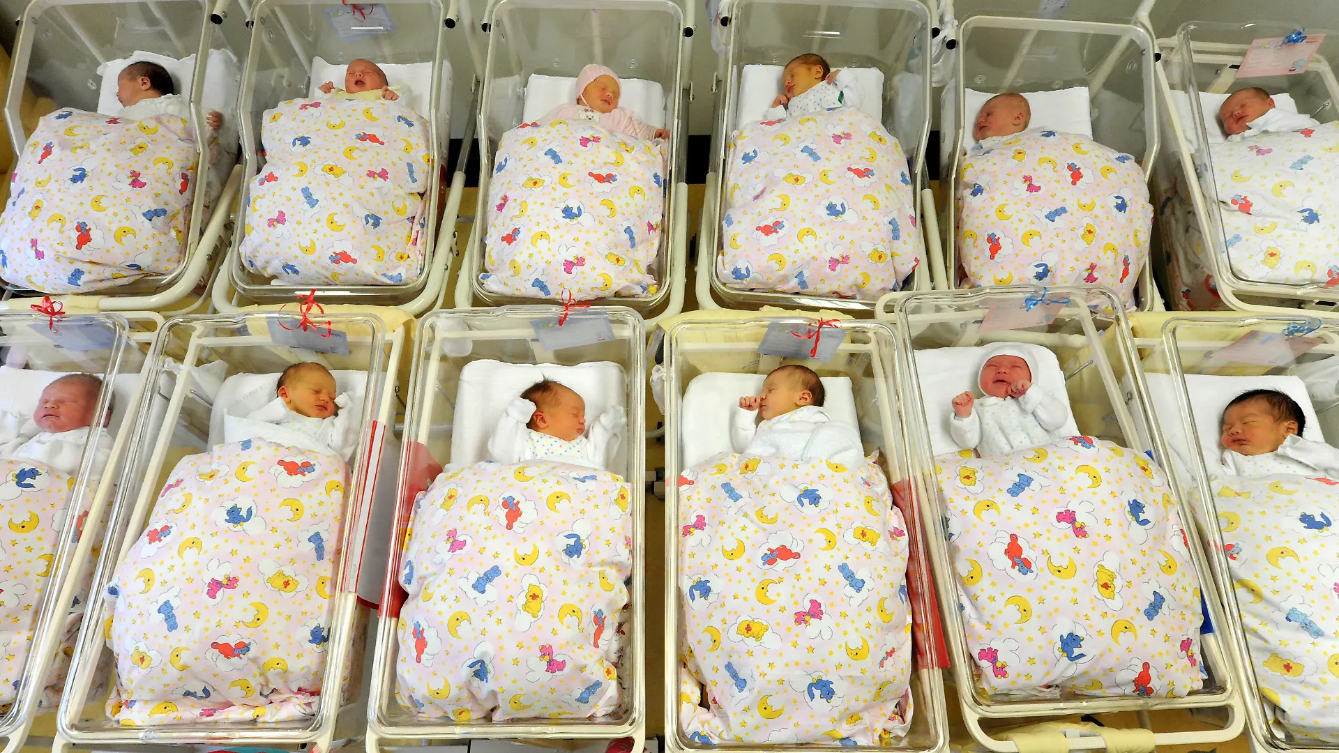 ARCHIV - Viele Babys liegen zusammen auf der Neugeborenenstation im Krankenhaus St. Elisabeth und St. Barbara in Halle in ihren Bettchen, aufgenommen am 05.01.2011. Foto: Waltraud Grubitzsch/dpa (zu dpa «Baby-Boom in Bayern: Höchste Geburtenzahl seit 15 Jahren» vom 10.06.2016) +++(c) dpa - Bildfunk+++