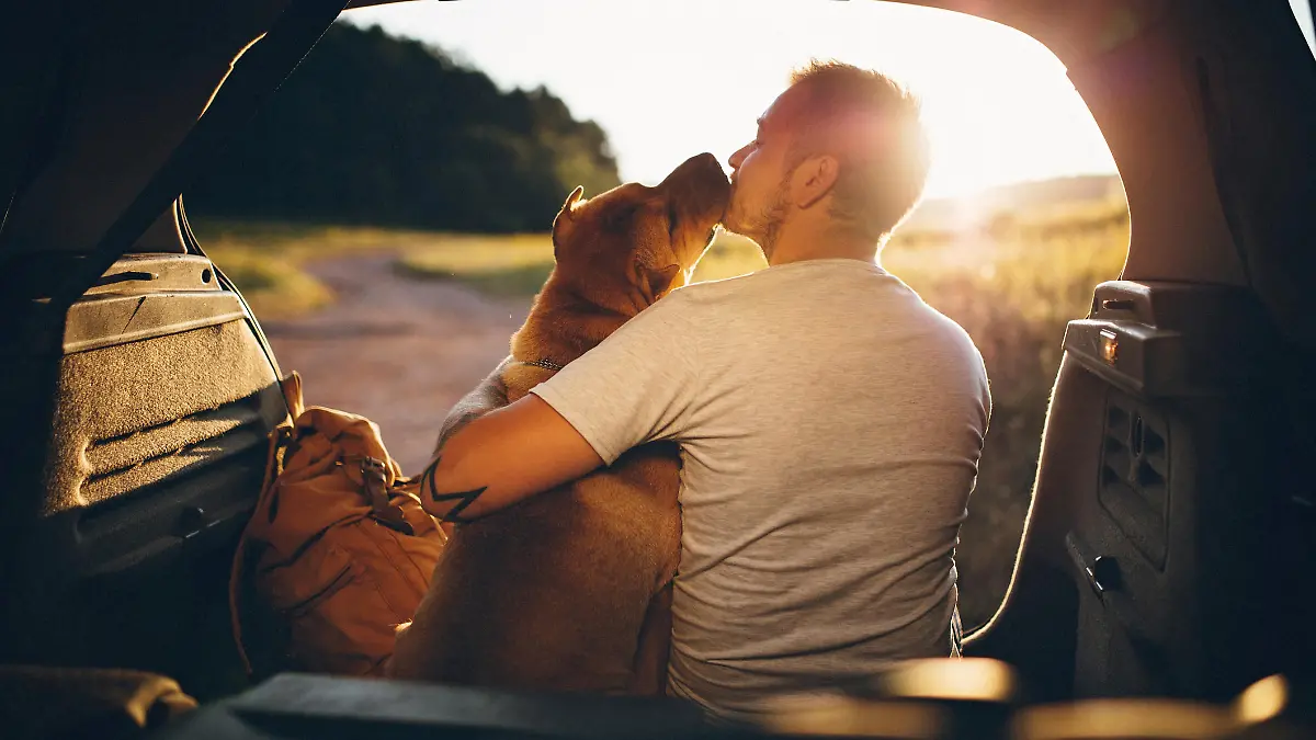 Urlaub im Wohnmobil: Abenteuerlust und Freiheitsdrang