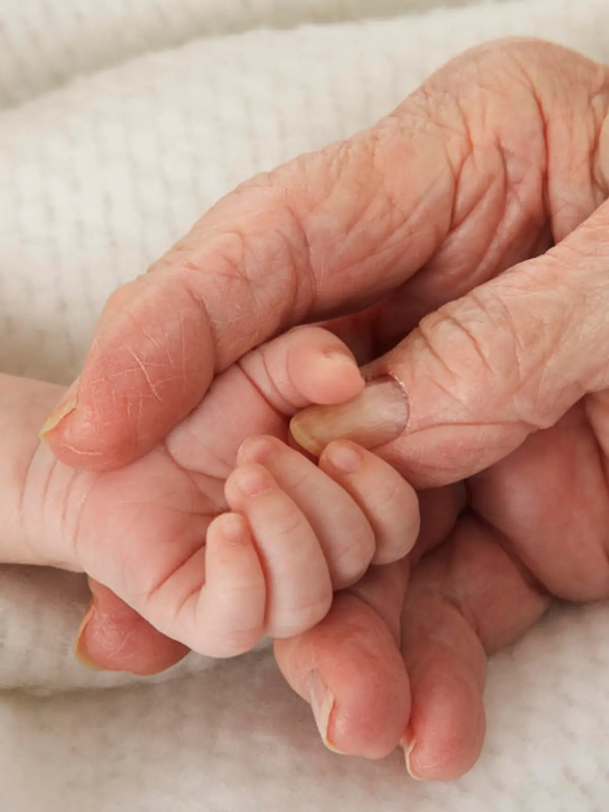 Ein neugeborenes Baby hält die Hand seiner Großmutter
