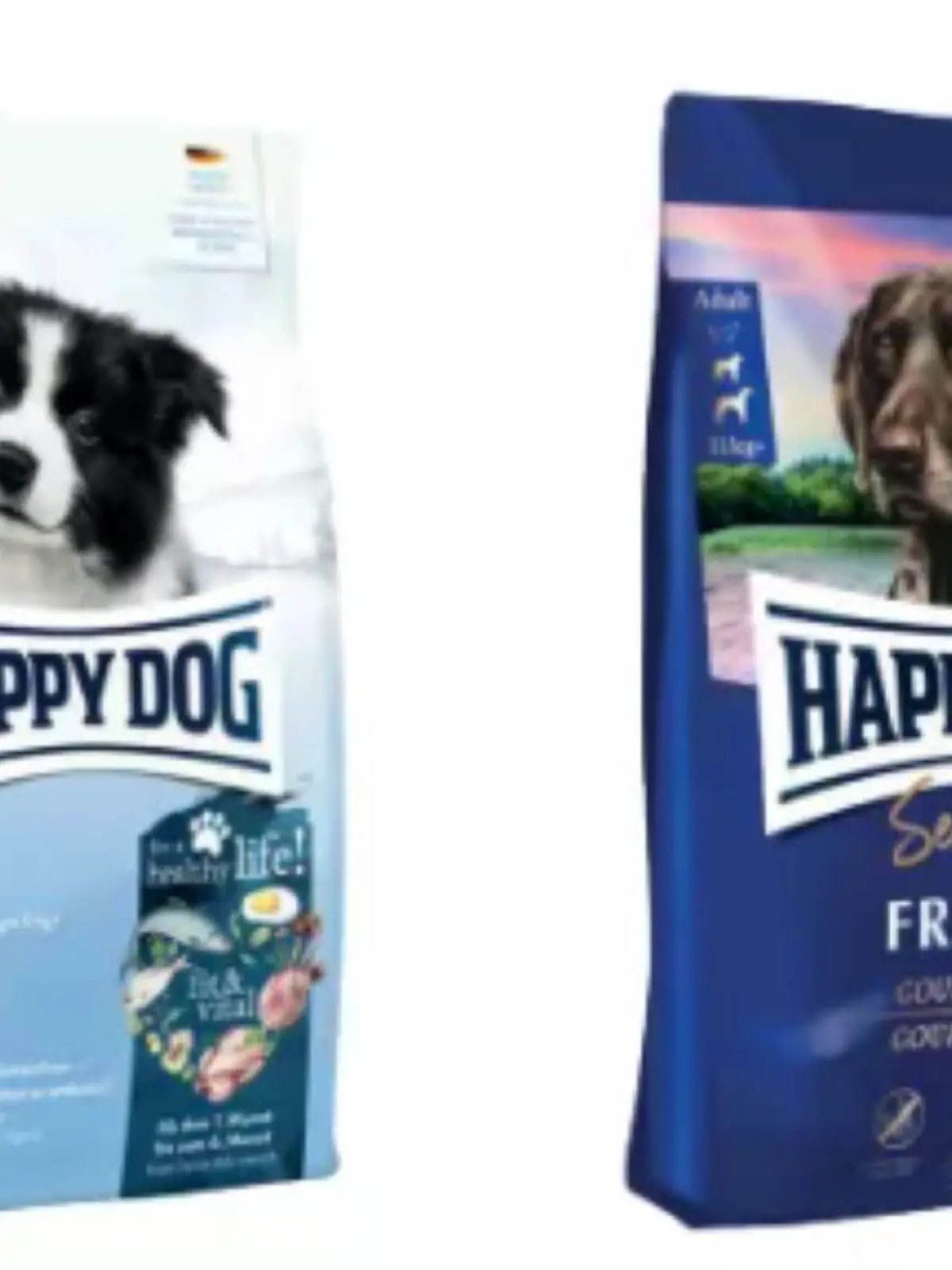 Dieses Hundefutter wird derzeit zurückgerufen. Der Grund: In Proben wurden Salmonellen gefunden.