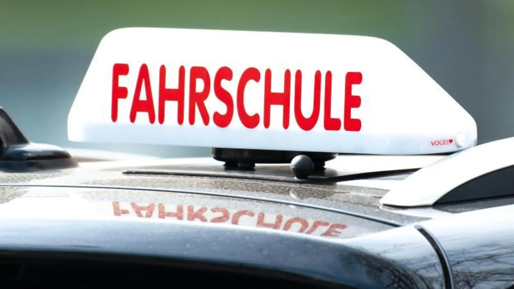 Würdet ihr den Führerschein bestehen?