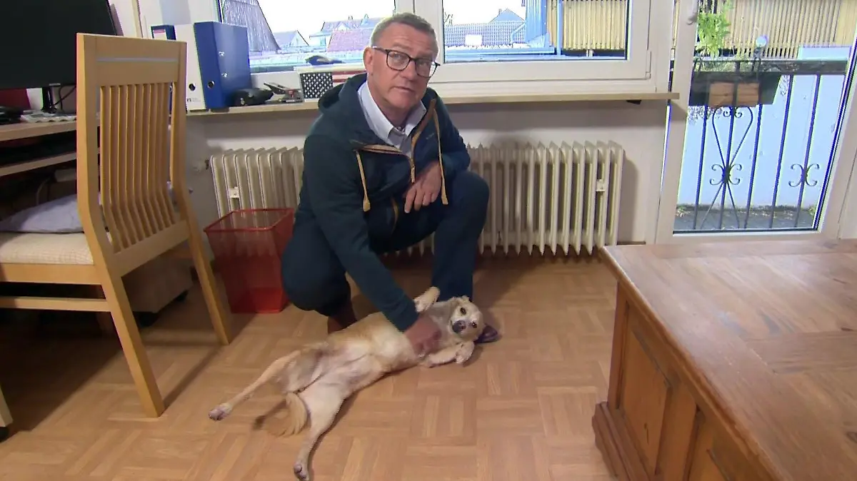 Seit dem Einbruchsversuch verhält sich Janni in der Wohnung unsicher, daher ist sie nun viel bei Stefan Kümmelmanns Ex-Frau, um zur Ruhe zu kommen.