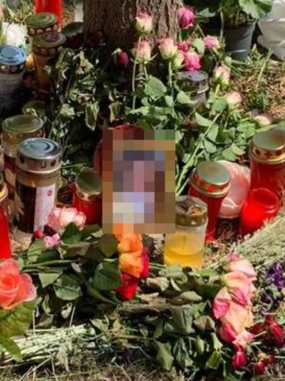 An diesem Baum in Wien fanden Passanten die Leiche der 13-Jährigen.
