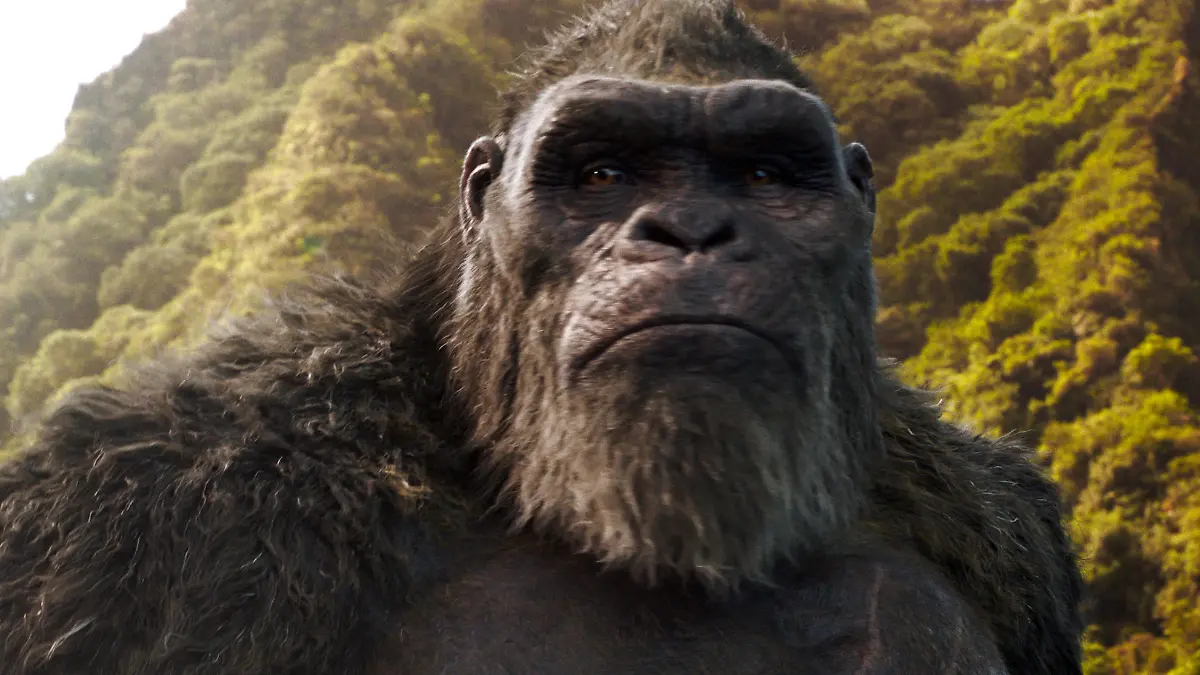 Godzilla vs Kong - King Kong