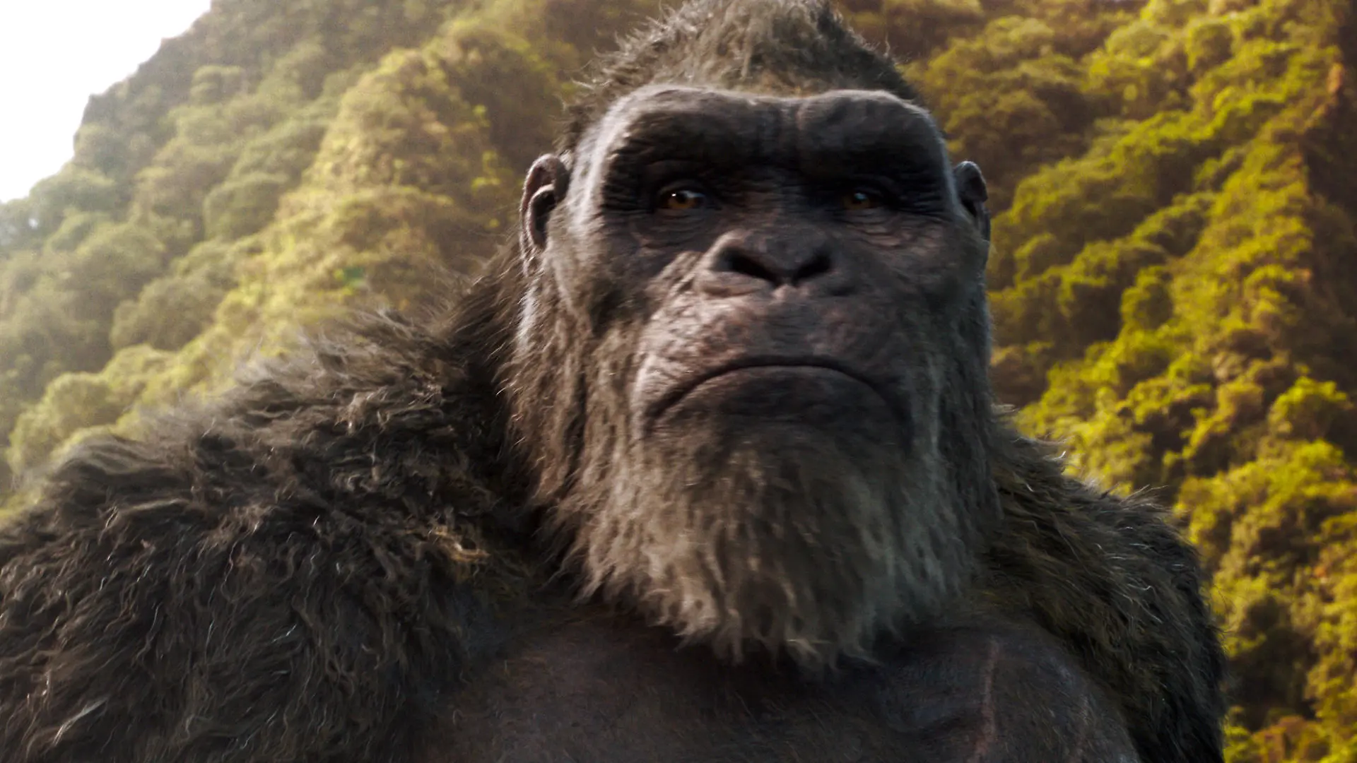 Godzilla vs Kong - King Kong
