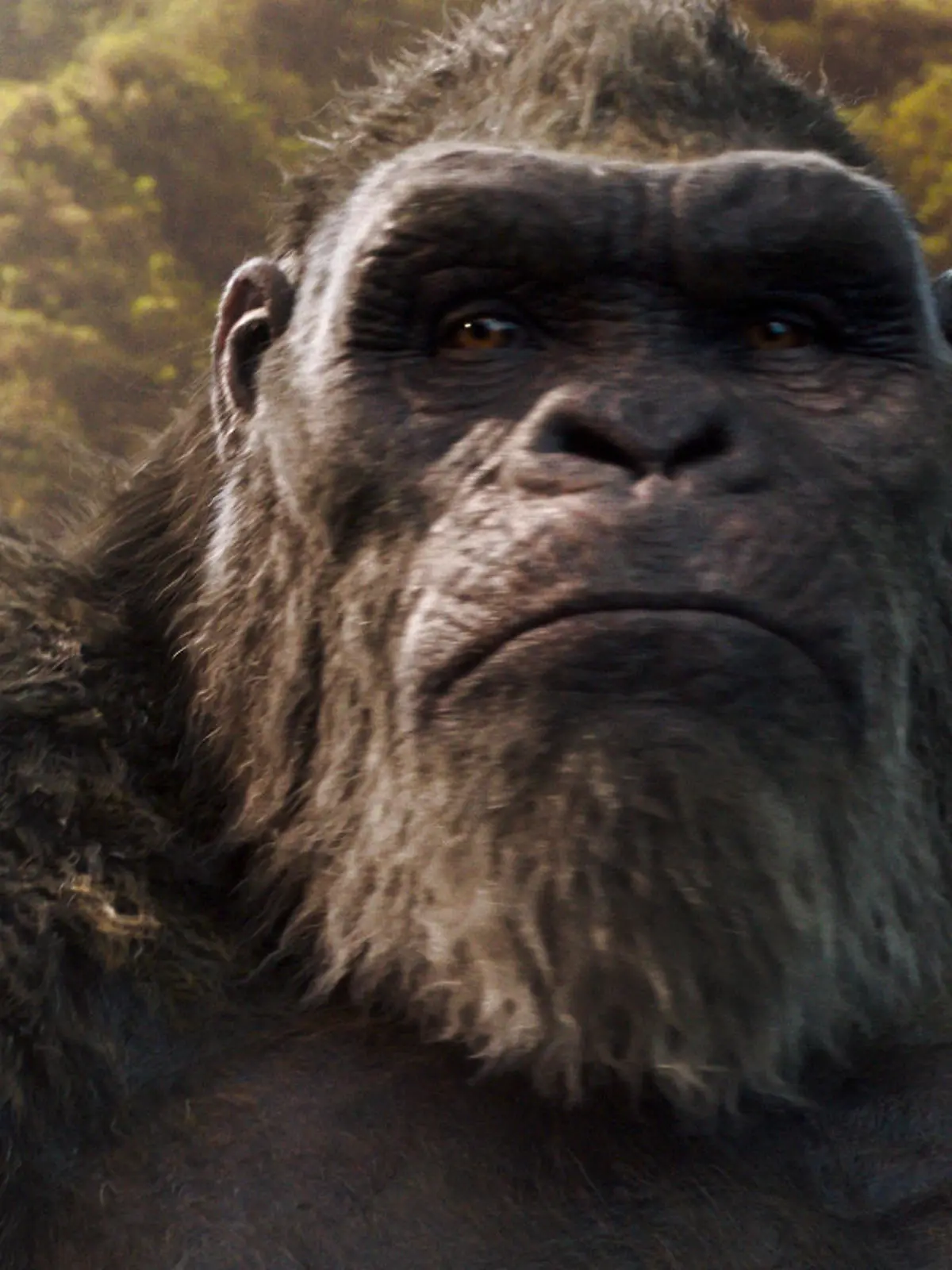 Godzilla vs Kong - King Kong
