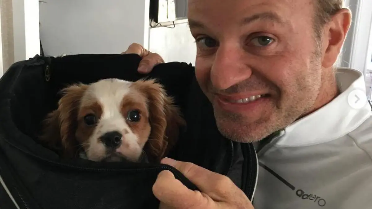 Rubens Barrichello trauert um seinen Hund Speedy