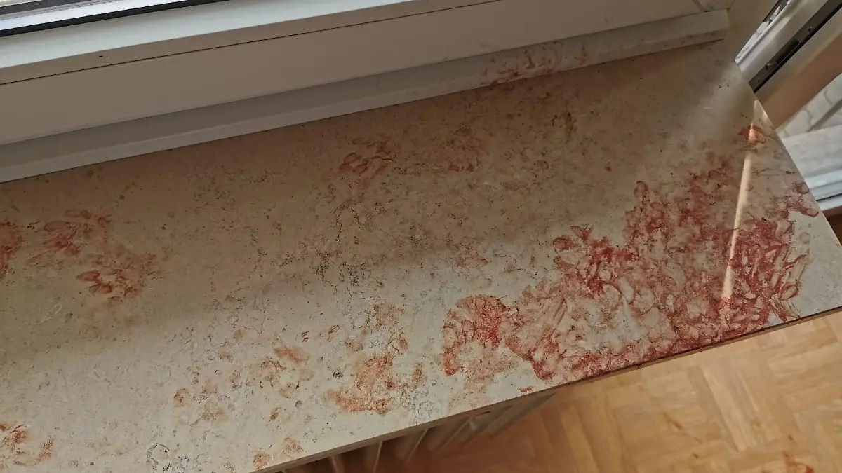 Der Einbrecher muss nach Jannis Attacke ziemlich geblutet haben, so wie es auf der Fensterbank aussieht.