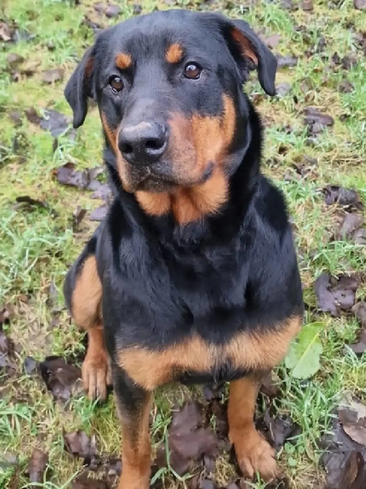 Wer könnte Lenjas Hundeblick widerstehen?