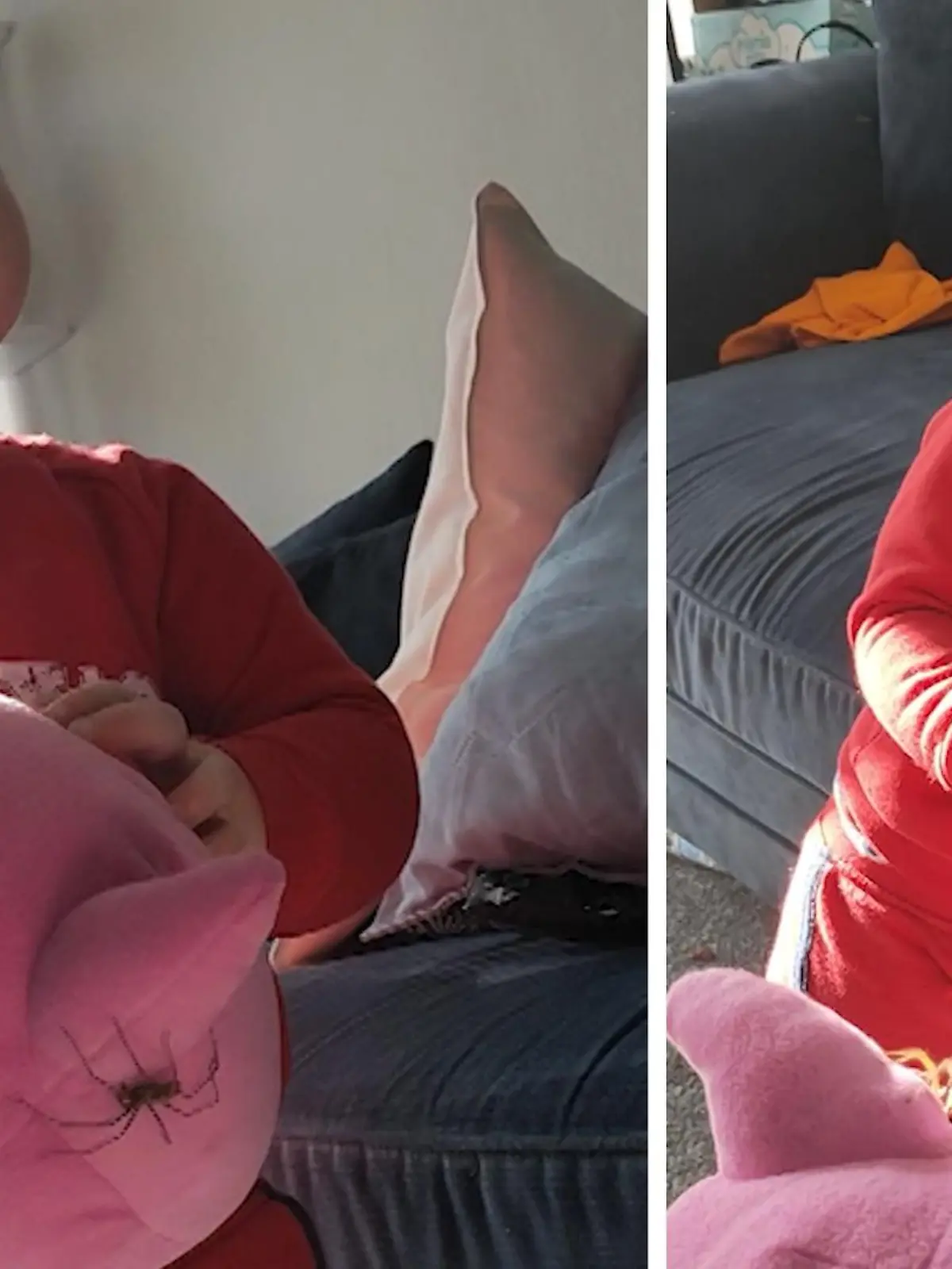 Ausgerechnet auf dem Lieblings-Pokémon-Plüschtier des kleinen Kristopher hat es sich eine fiese, dicke Spinne gemütlich gemacht! Leider ist Mama so schadenfroh, dass sie die Reaktion des Kleinen auf das fiese Getier unbedingt mit der Kamera festhalten muss.