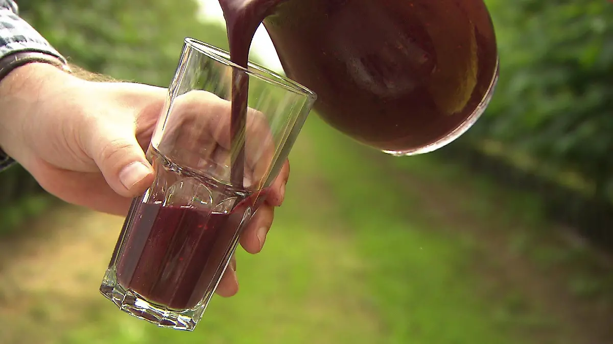 Mit Himbeeren, Brombeeren und Johannisbeeren lassen sich süße, vitaminreiche Leckereien zaubern.