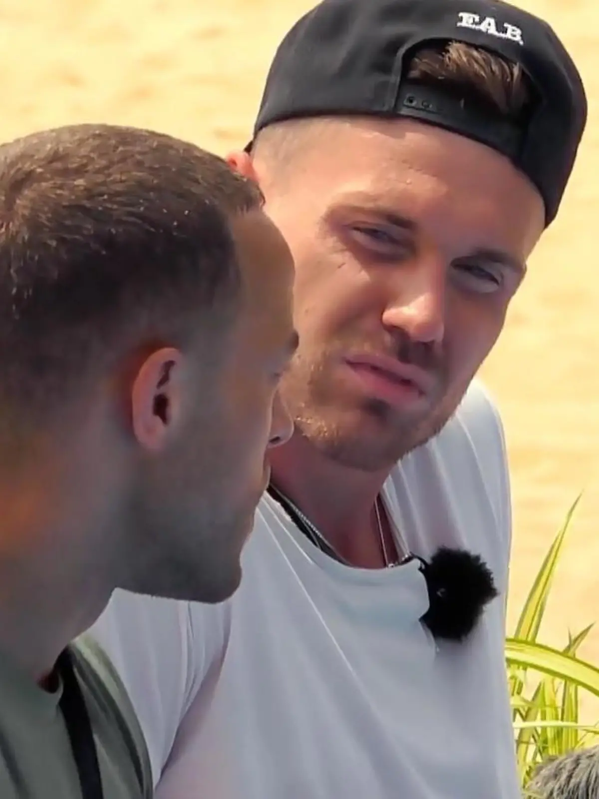 Kampf der Realitystars: Andrej Mangold entschuldigt sich bei Chris Broy