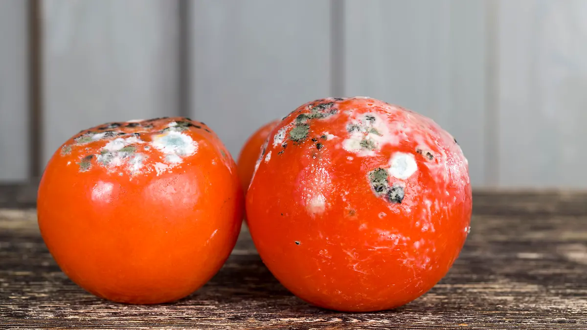 Ökotest: Tomatenmark