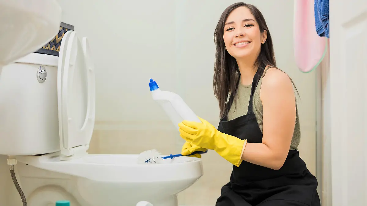 Öko-Test: WC-Reiniger