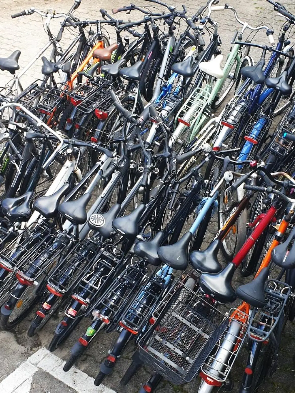 60 Fahrräder findet die Polizei zufällig bei einer Vollstreckung eines Haftbefehls