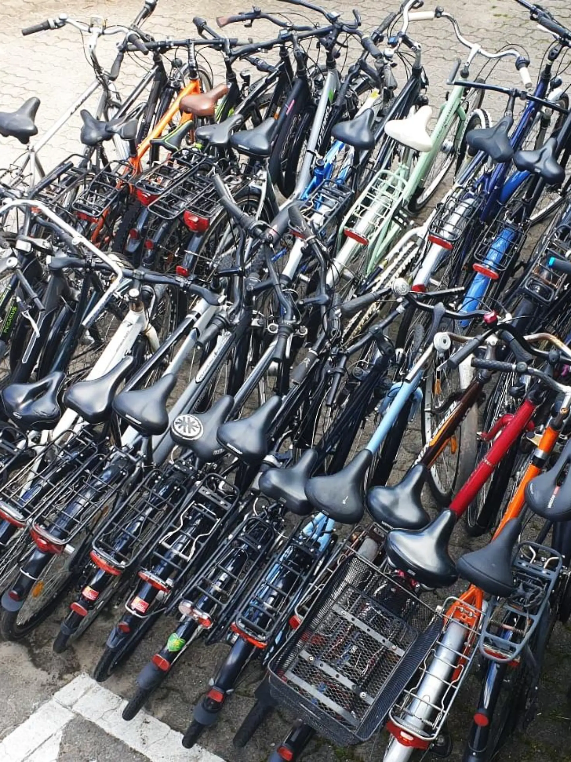 60 Fahrräder findet die Polizei zufällig bei einer Vollstreckung eines Haftbefehls