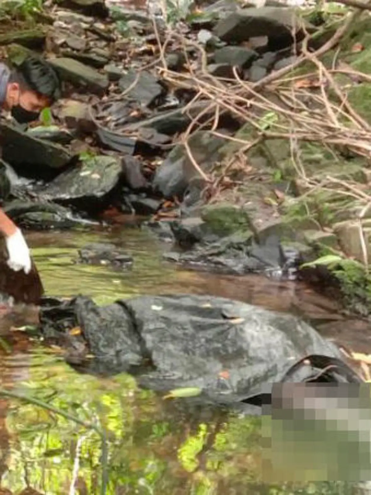 EDS NOTE: GRAPHIC CONTENT - An officer inspects the scene where a woman was found dead at a secluded spot on the southern island of Phuket, Thailand, on Thursday, Aug. 5, 2021. Thai media, quoting police, said the woman was a 57-year-old Swiss national. (AP Photo)