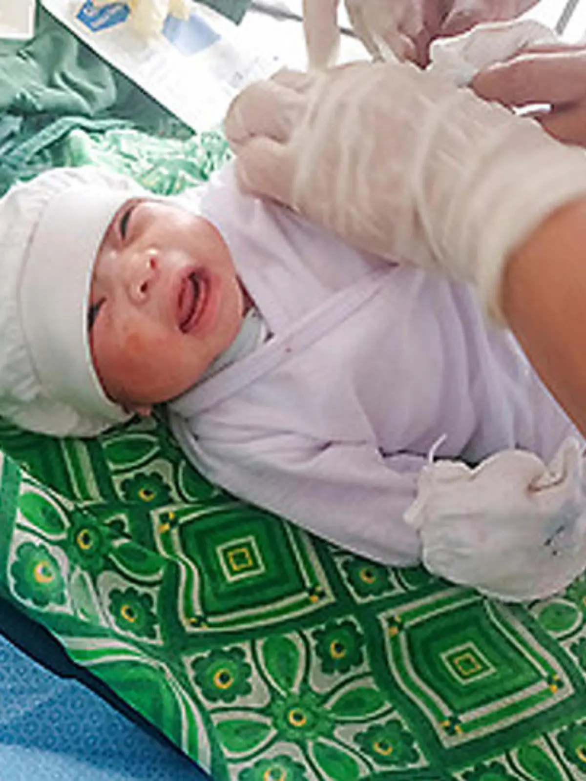 Schwangere Frau auf den Philippinen stirbt nach Kobra-Biss - das ungeborene Baby kann gerettet werden
