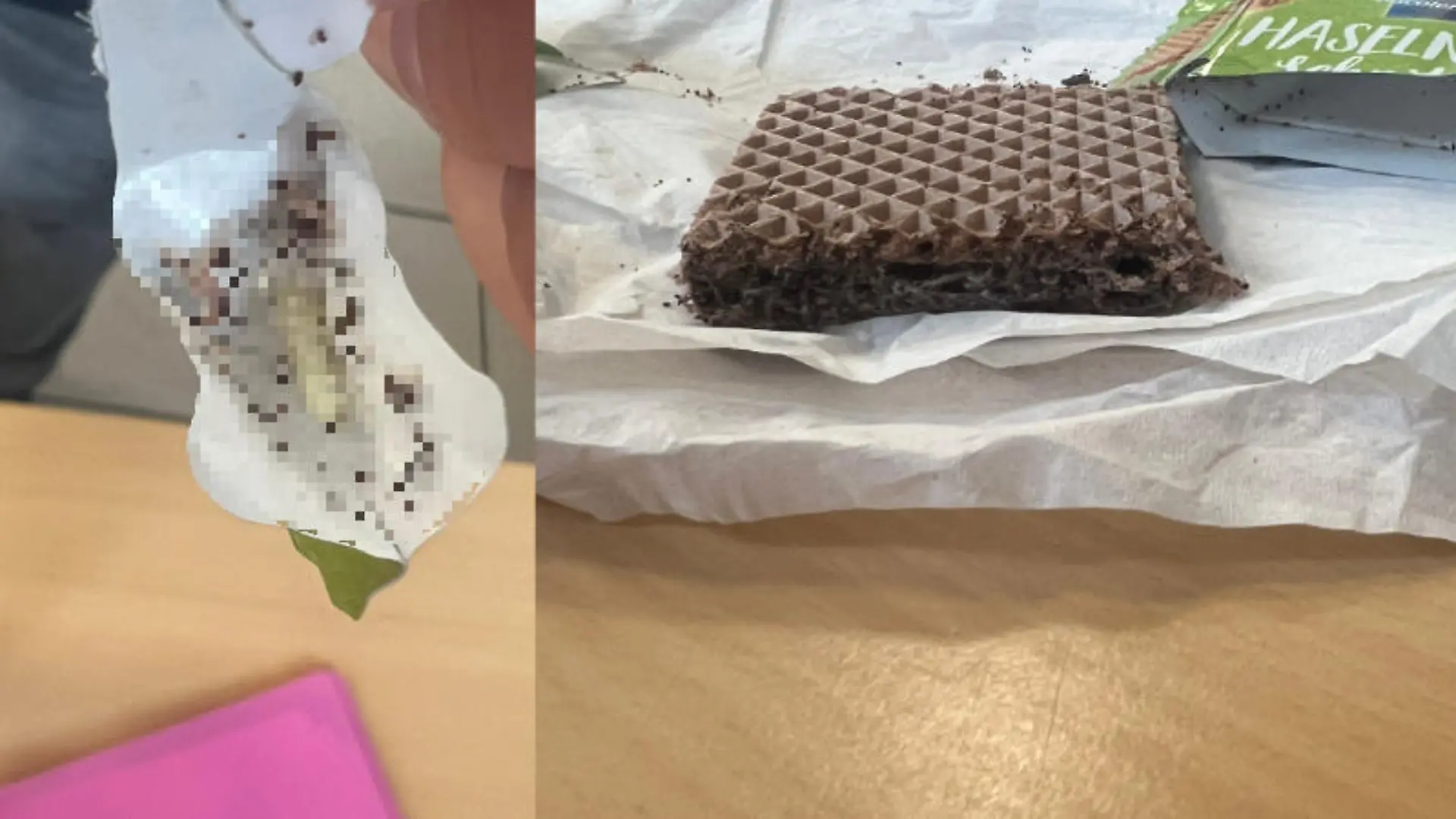 Maden, Eier, Würmer in Verpackung