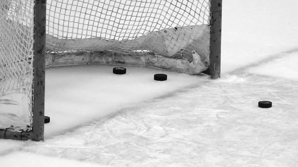  Bietigheim, Eishockey DEL 2 , Finale Spiel 2 , Steelers Bietigheim vs. EC Kassel Huskies , Feature Detail Symbolbild *** Bietigheim, Ice Hockey DEL 2 , Final Game 2 , Steelers Bietigheim vs EC Kassel Huskies , Feature Detail Icon Image 