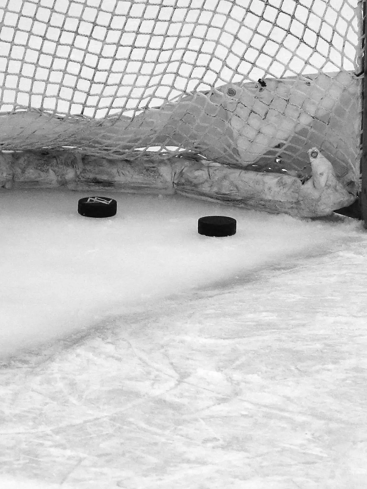  Bietigheim, Eishockey DEL 2 , Finale Spiel 2 , Steelers Bietigheim vs. EC Kassel Huskies , Feature Detail Symbolbild *** Bietigheim, Ice Hockey DEL 2 , Final Game 2 , Steelers Bietigheim vs EC Kassel Huskies , Feature Detail Icon Image 