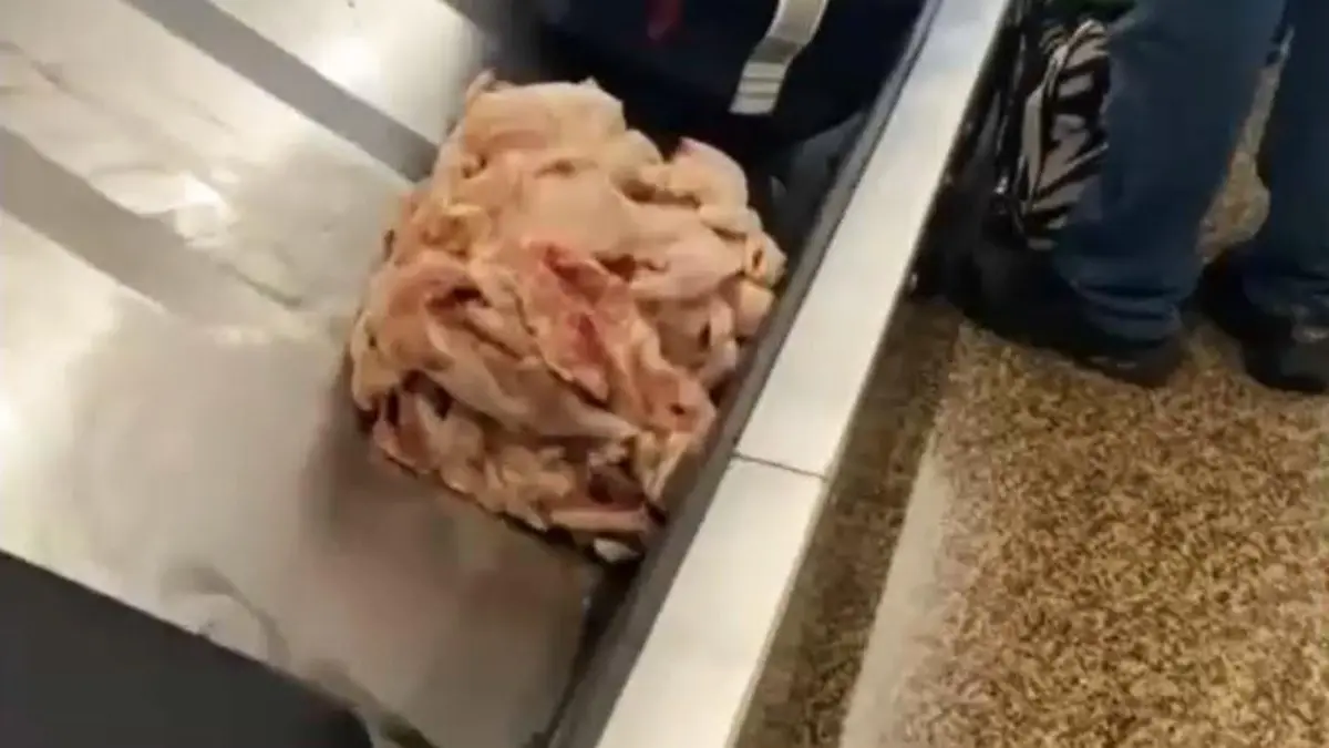 Am Flughafen in Seattle kommt dieses rohe Hühnerfleisch übers Gepäckband gefahren.