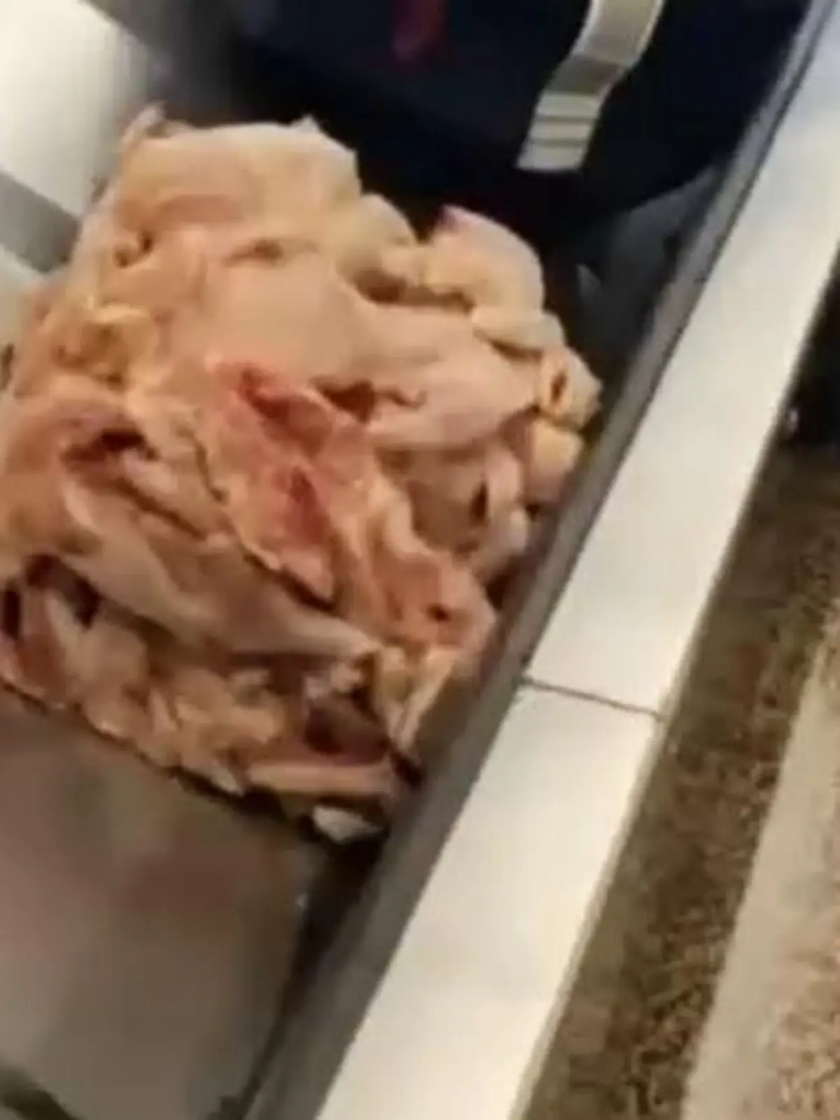 Am Flughafen in Seattle kommt dieses rohe Hühnerfleisch übers Gepäckband gefahren.