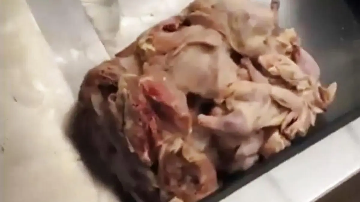 Ein Block gefrorenes Hühnerfleisch rollt vorbei.