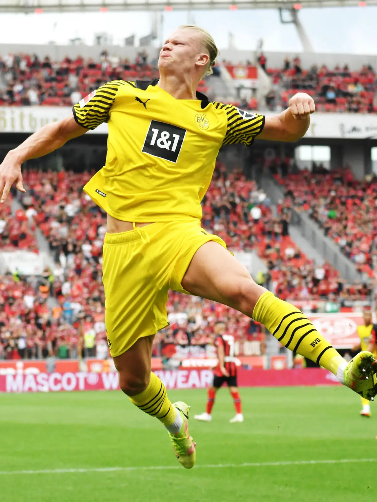 Jubelsprung Erling Haaland Borussia Dortmund 11.09.2021, Fussball GER, Saison 2021 2022, 1. Bundesliga, 4. Spieltag, Bayer 04 Leverkusen - Borussia Dortmund, Foto: Maik Hölter/TEAM2sportphoto ***DFL regulations prohibit any use of photographs as image sequences and/or quasi-video.*** Leverkusen Nordrhein Westfalen Deutschland *** Jubelsprung Erling Haaland Borussia Dortmund 11 09 2021, Football GER, Season 2021 2022, 1 Bundesliga, Matchday 4, Bayer 04 Leverkusen Borussia Dortmund, Photo Maik Hölter TEAM2sportphoto DFL regulations prohibit any use of photographs as image sequences and or quasi video Leverkusen Nordrhein Westfalen Germany Team2 