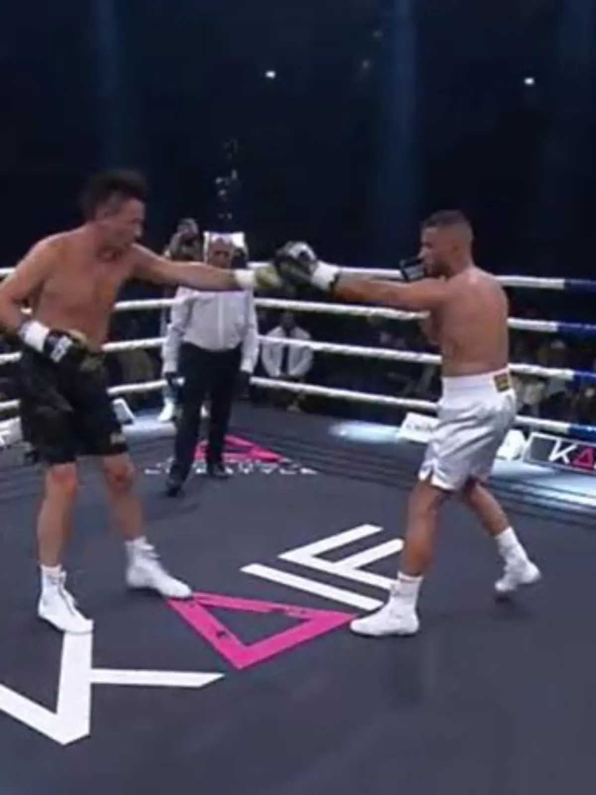 Ennesto Monté und Domenico De Cicco steigen in den Ring.