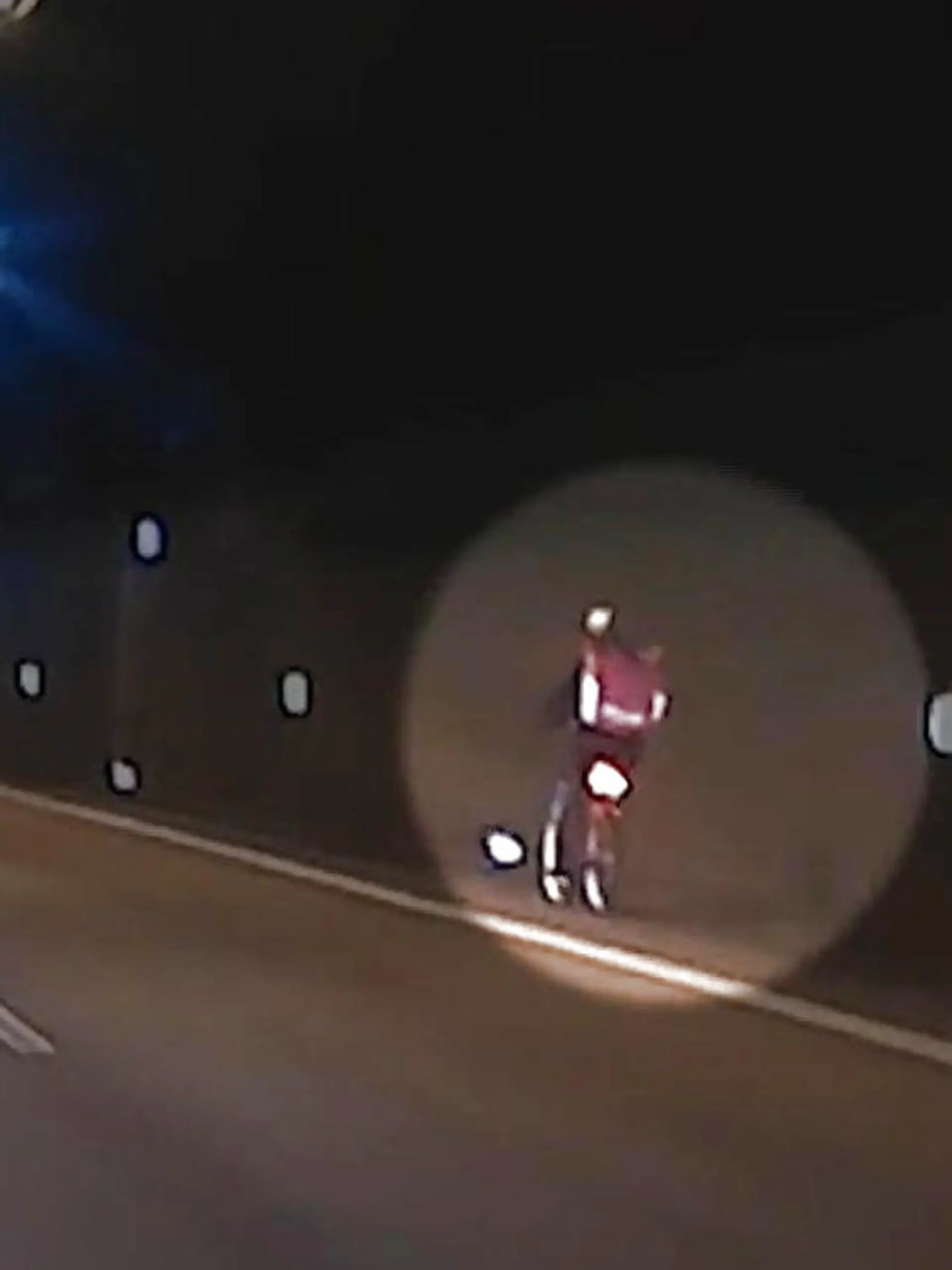 Bild zu: "Fahrradkurier im Elbtunnel unterwegs"