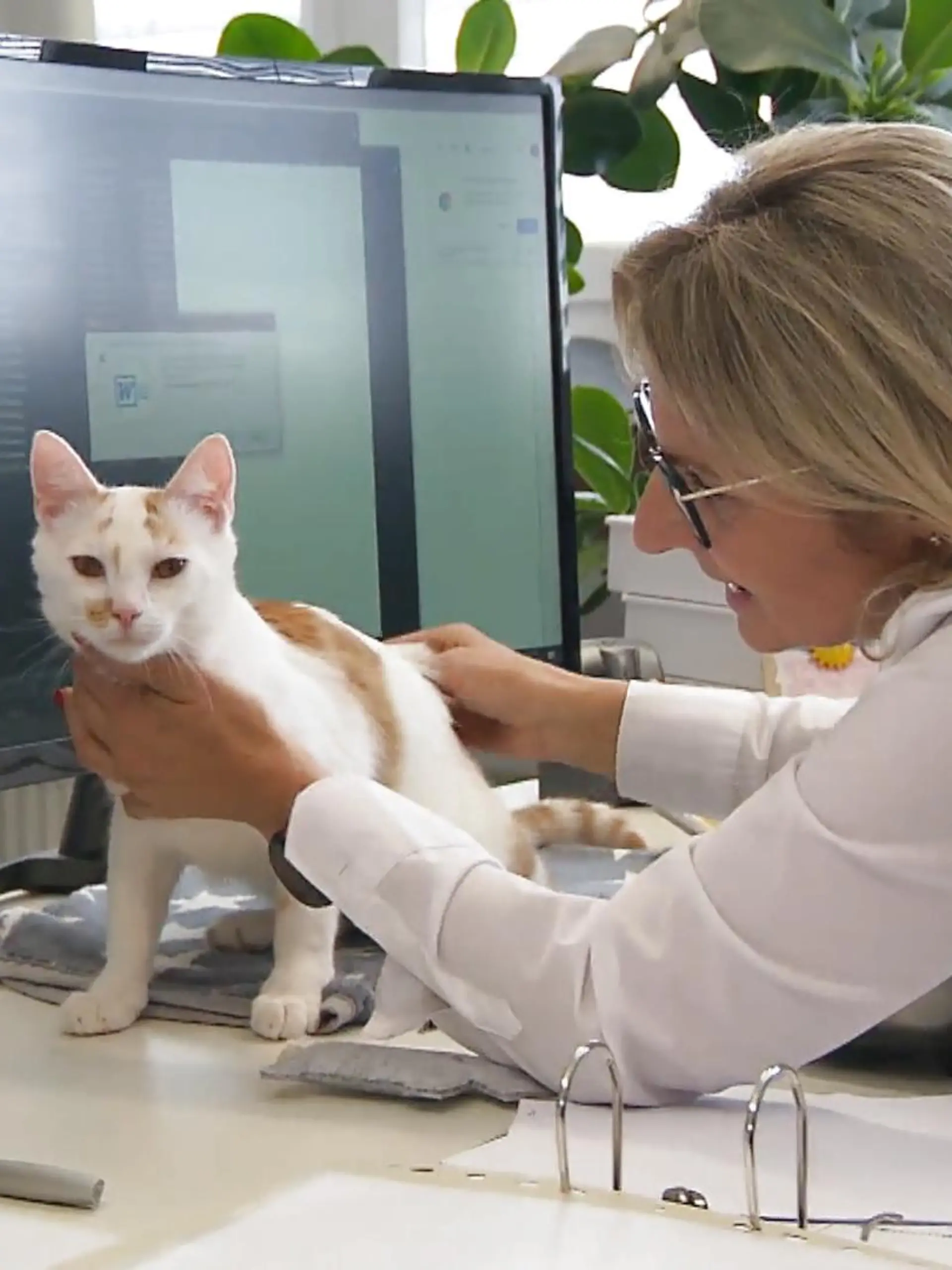 Bei den meisten Firmen darf man nicht mal einen Hund mitbringen. Bei Unternehmer Peter Götz im Büro aber sind sogar Katzen willkommen. Drei Miezen mit einem besonderen Schicksal sind da definitiv die kuschligsten Kollegen und der beste Beweis dafür, dass der Chef ein Super-Typ ist. Wie sich das Büro-Leben mit den Samtpfoten so gestaltet, sehen Sie im Video!